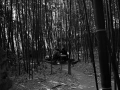 -泰山风景名胜区-普照寺