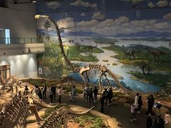 -自贡恐龙博物馆