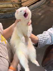 -Zoolung Zoolung动物主题公园(海信广场店)