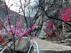 -黑龙潭风景区