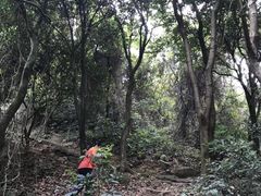 -火炉山森林公园