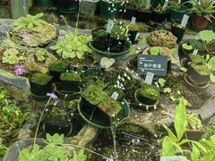 -国家植物园南园