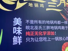 -皖北巫氏三胖地锅鸡(长淮总店)