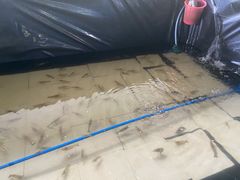 -小象钓虾·营地烧烤(洛溪店)