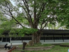 -苏州文庙(姑苏区)