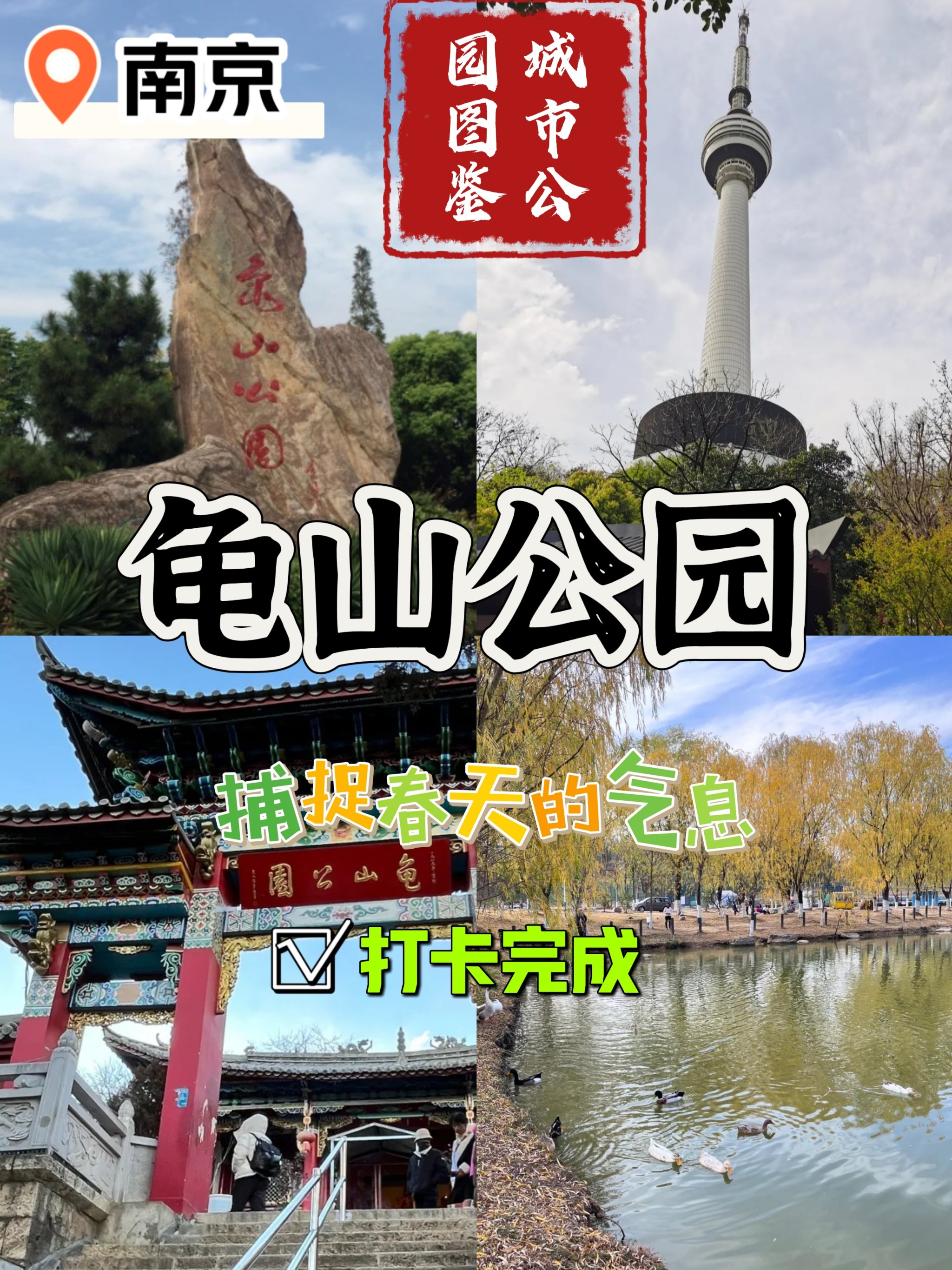 南京体育公园简介图片