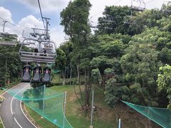 -圣淘沙天际线斜坡滑车