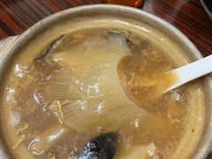 招牌花胶特大鱼翅-添發碗仔翅美食