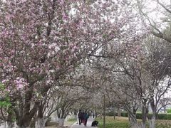 -元大都城垣遗址公园