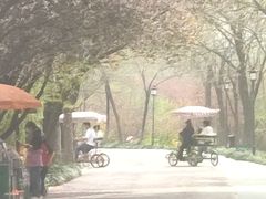 -禹州森林植物园