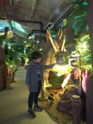 -恐龙探索乐园(磁器口店)