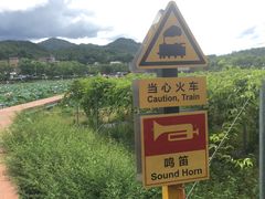 -红山村