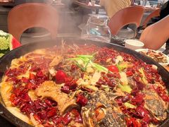 -老板恋上鱼(恒隆广场店)