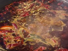 -黄潇洒老火锅(九眼桥宏济巷店)