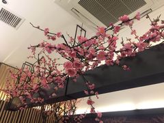 -老板恋上鱼(荣盛广场店)