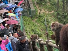 -峨眉山风景名胜区