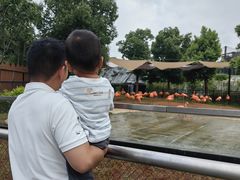 -武汉动物园