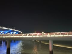 -演武大桥观景平台