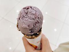 -哈根达斯(绍兴银泰店)