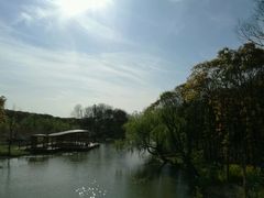 -同里国家湿地公园