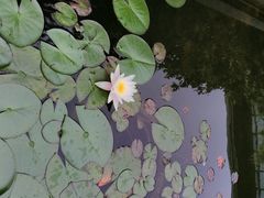 android_upload_pic-宝界普菲特湖畔酒店