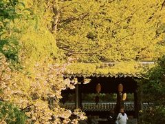 -惠山古镇·寄畅园