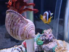 -太平洋海底世界