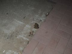 -北运河水利风景区