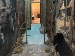 -北京动物园-畅观楼