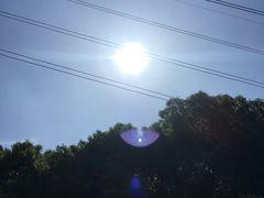 -川香煲(茅台路店)