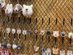 -和它·交个朋友·狗咖猫咖(爱琴海店)