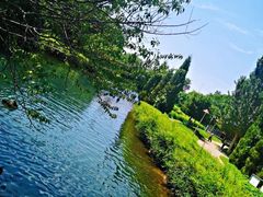 -长白岛森林公园