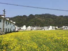 -绩溪龙川景区