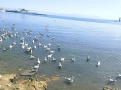 -青海湖二郎剑景区