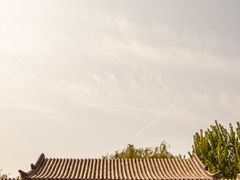 -趵突泉景区