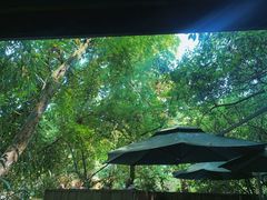 -龙井壹号·茶缘山景宴(龙井村店)