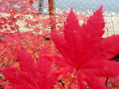 -丹东天桥沟景区