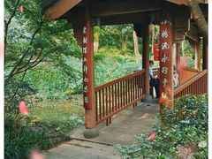 -杭州半山国家森林公园