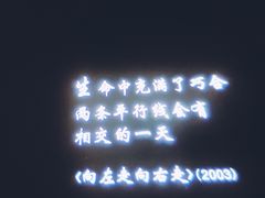 -星河寰宇IMAX影城(星河WORLD·COCO Park店)