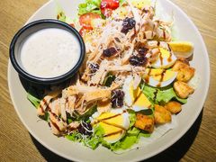 -机器人火炉披萨