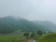 -关山草原
