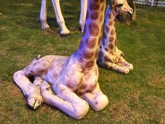 -亚龙湾亚泰商业街