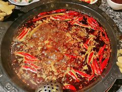 -成渝龙火锅(都江堰店)