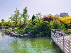 -绿岛公园(滨海新区)