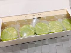 -蒲公英(五里店)