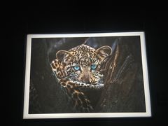 -罗红摄影艺术馆