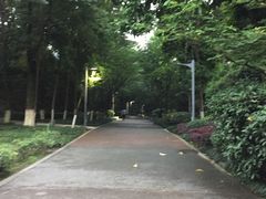 -百林公园-两江幸福广场