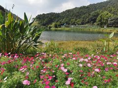 -广州市石门国家森林公园