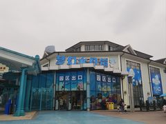 -海合安成都极地海洋公园