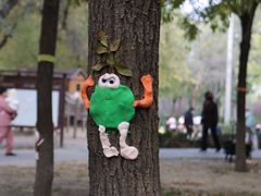 -北京市海淀区锦绣明天莲宝幼儿园